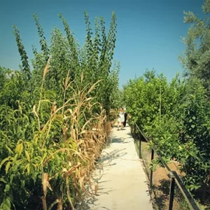 Mersin Sevgibağı Huzurevi bahçe yürüyüş yolunu gösteren görsel